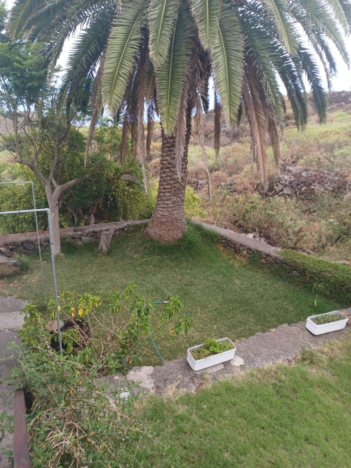 Casa Rural El Olivo De Mazo Esterno foto