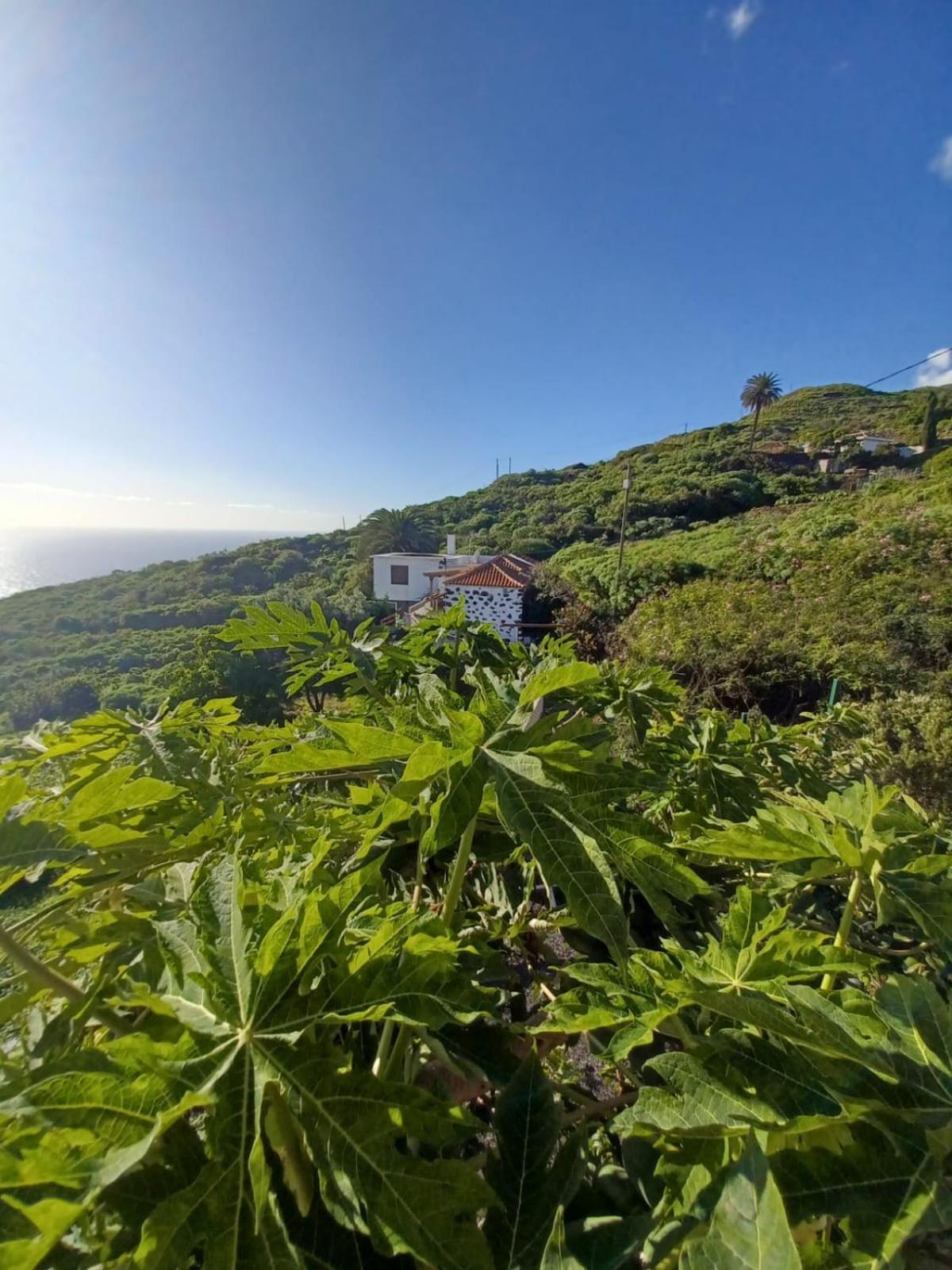 Casa Rural El Olivo De Mazo Esterno foto